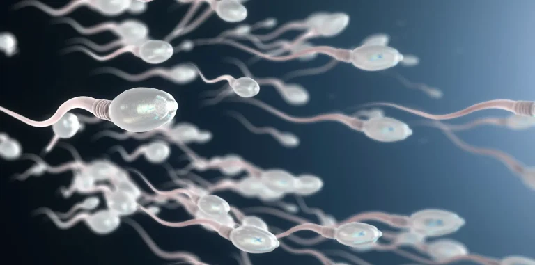 What Happens to Sperm After a Vasectomy? Sperm After a Vasectomy